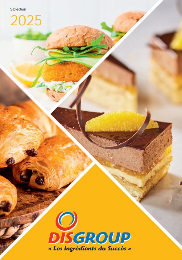 Catalogue général Disgroup 2025